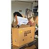 Image 1 : PALLET OF ASSORTED LIGHTING, CHRISTMAS TREE, STORAGE BOXES AND MORE