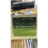 Image 2 : GREEN 3M X 3M CANOPY *IN BOX*