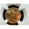 Image 15 : GOLD COIN! GOLD EAGLE 1/10TH TROY OUNCE GOLD - 2026 - MS69