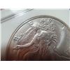 Image 11 : AMERICAN SILVER EAGLE - 2000 - MS69