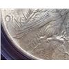 Image 10 : PEACE SILVER DOLLAR - 1922 - MS62