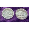 Image 2 : SILVER BULLION ROUNDS - BUFFALO NICKEL REPLICA - 1/10 OUNCE .999 SILVER; LOT OF 2