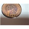 Image 9 : INDIAN HEAD CENTS - 1889, 1990, 1892 (X2), 1896, 1897, 1901, 1902, 1903 (X2), 1906; LOT OF 11
