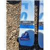 Image 2 : Ski Equipment Featuring Salomon Skis and Boots