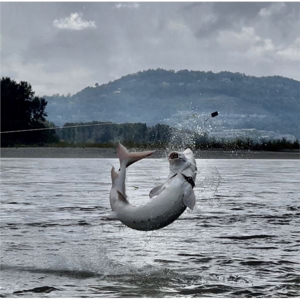 STURGEON FISHING TRIP FOR 4 - MAINLANDERS FISHING