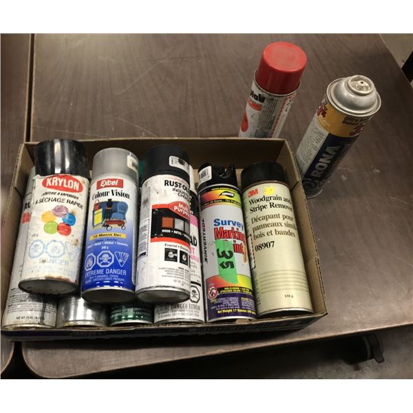 BOX C/W ASSORTED SPRAY PAINT