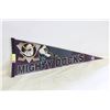 Image 1 : VINTAGE MIGHTY DUCKS NHL FELT PENNANT