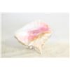 Image 1 : QUEEN CONCH SHELL