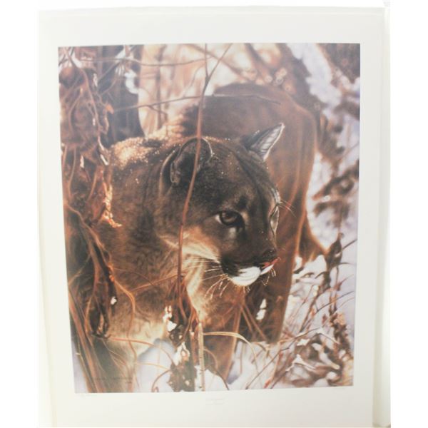 UNFRAMED PRINT - ICY WHISKERS BY LESLEY