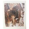 Image 1 : UNFRAMED PRINT - ICY WHISKERS BY LESLEY