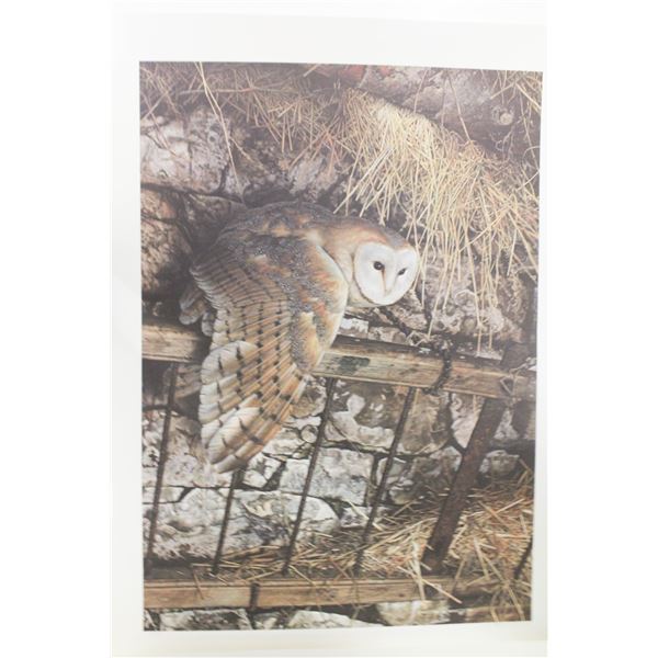 UNFRAMED PRINT - MYSTERIOUS VISITOR BARN