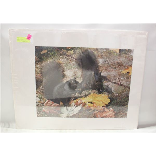 UNFRAMED PRINT - NORTHEN COUSINS BY CARL