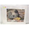 Image 1 : UNFRAMED PRINT - NORTHEN COUSINS BY CARL