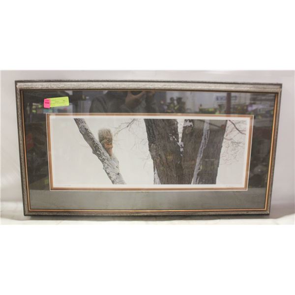 FRAMED PRINT - IN THE ELM BY TERRY ISAAC