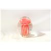 Image 1 : RED JELLY FISH PAPERWEIGHT