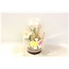 Image 1 : LARGE VINTAGE EGG DIORAMA