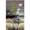 Image 1 : CG HUNTER LIFELIKE OLIVE TREE - 6.5FT / 203.2 CM