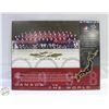 Image 1 : CANADA VS THE WORLD 28"X22" WOOD PLAQUE