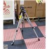 Image 1 : PAINTING EASEL TRIPOD