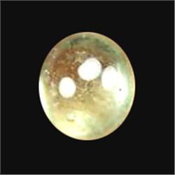 3.83ct Top Cabochon Green Sapphire (GEM-20537)