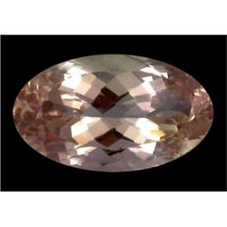 48.57ct Rare Natural Firing Imperial Kunzite FLAWLESS Appraisal Estimate $7885 (GEM-17337)