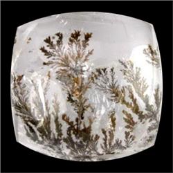 24.05ct Hills Tree Appeal Natural Dentrit Picture Opal (GEM-8387)