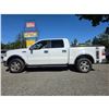Image 15 : DUNCAN - 2006 FORD F-150 WHITE  340697 KMS - DB91468