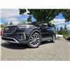 Image 1 : DUNCAN - 2017 HYUNDAI SANTA FE BLACK 215141 KMS - D231301