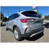 Image 13 : DUNCAN - 2020 FORD ESCAPE GREY 170184 KMS - DA13404