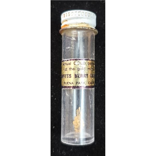 Vial of Gold Flakes Panned at Knotts Berry Farm