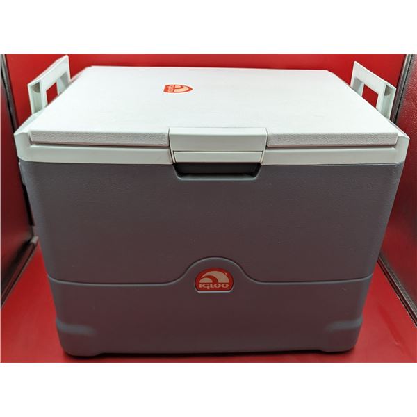 Igloo Electric Cooler