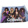 Image 1 : Cinderella Band Poster
