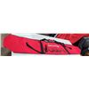Image 1 : Salomon Equipe Ski Bag