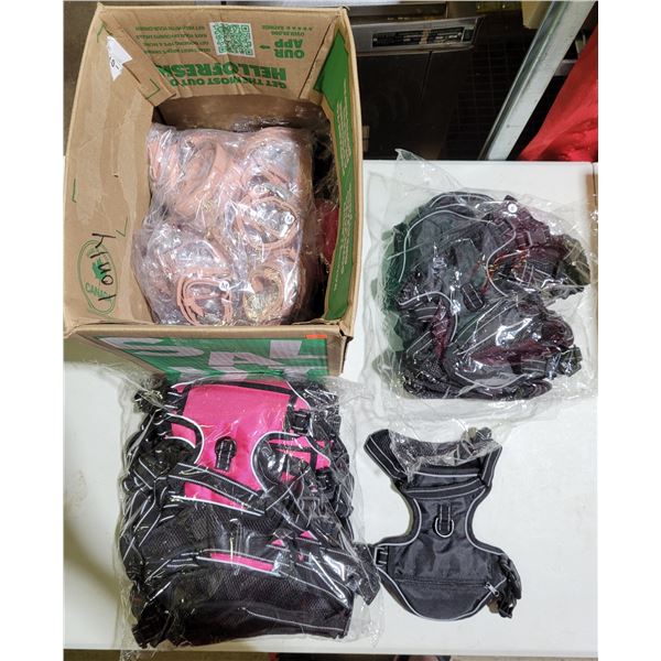 Lot of Pet Harnesses & Collars