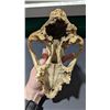 Image 3 : Skull Taxidermy