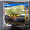 Image 3 : Vehicle Immobilizer, High Flow Air Filter, & Exhaust Muffler Tips