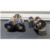 Image 4 : Vehicle Immobilizer, High Flow Air Filter, & Exhaust Muffler Tips