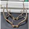 Image 1 : 2 Sets of Deer Antlers