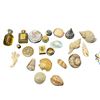 Image 2 : Lot of VTG Perfume & Assorted Seashells