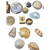 Image 4 : Lot of VTG Perfume & Assorted Seashells