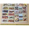 Image 3 : 4 walt Disney animals stamp book- complete