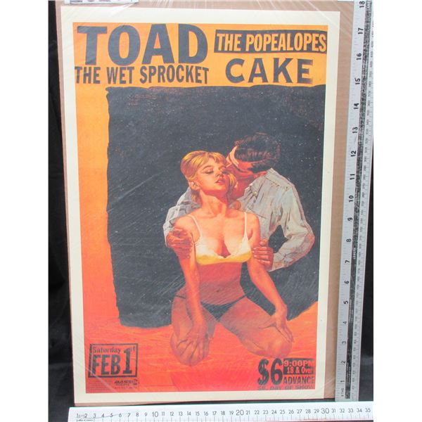 Toad The Wet Sprocket Concert Poster