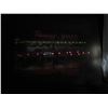 Image 2 : Lg. Rosies Diner Light-up Picture ( Working)
