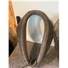 Image 5 : (2) Horse Collars, 20”