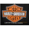Image 5 : Vintage Authentic Harley Davidson Cabo San Lucas Mexico Size Large T Shirt No Sleeves