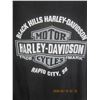 Image 5 : Vintage Authentic Harley Davidson Rapid City , SD T Shirt Size Medium