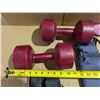 Image 3 : Pairs of: 5 pound, 8 pound and three pairs of about 1.5 pound weights in a gym bag.