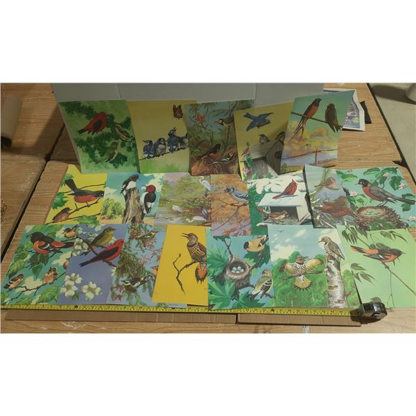 (19) Vintage Bird Prints.