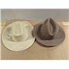Image 1 : (2) Vintage Hats (Smithbilt wool Felt and Merino)