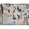 Image 4 : Lot of Vintage National geographic Magazines